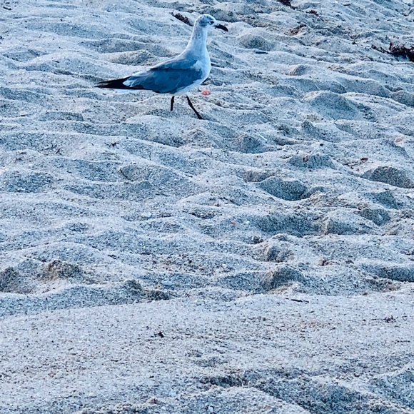 Meet your Posher, Deb - Picture 5 of 6